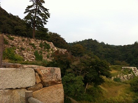 鳥取城跡の写真