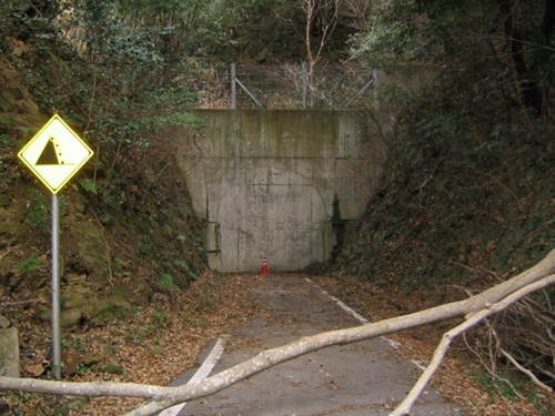 旧童学寺トンネル（石井トンネル）の写真
