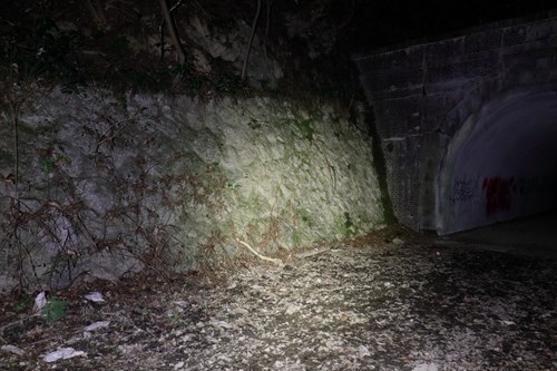 旧小峰トンネルの写真