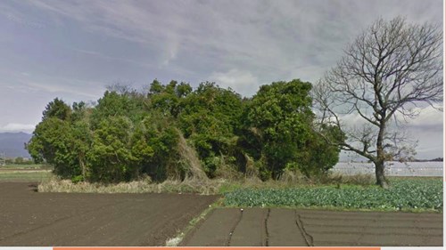 鹿屋市横山町切小田の墓地の近くの雑木林の写真