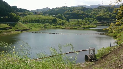 河内ダムの写真