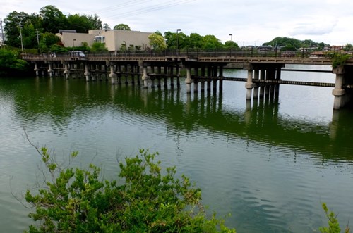 【奈良市】大渕池の画像