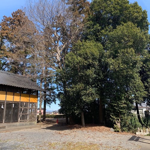 八幡神社の写真