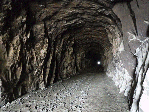 猿岩トンネルの写真