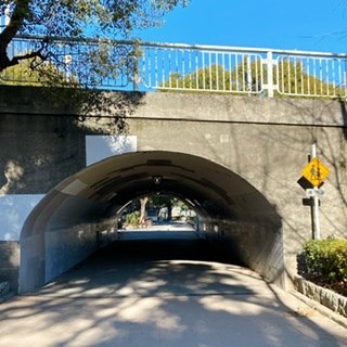 牛嶋神社の近くにあるトンネルの写真