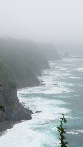 鵜の巣断崖の写真