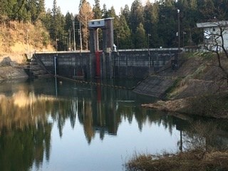 下条川ダムの写真