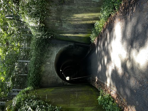 千駄トンネルの写真