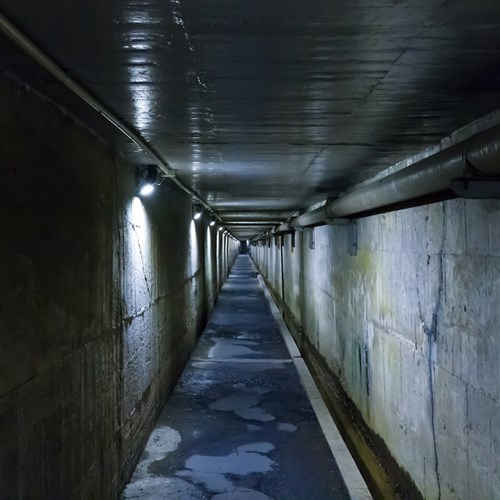土井西地下道(野田の地下道)の写真