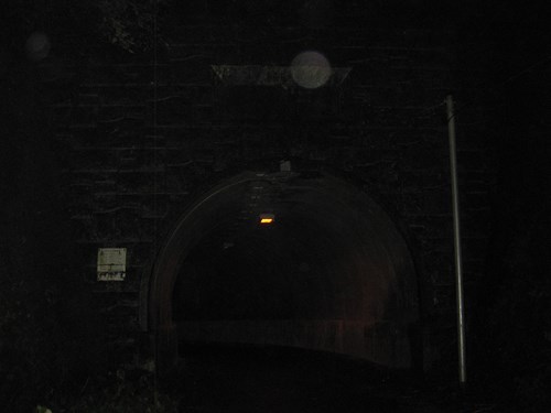 【河内長野市】滝畑第三トンネルの画像
