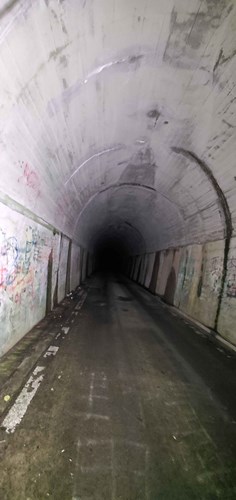 梨の木隧道の写真