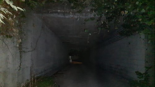 黒埼インター下のトンネルの写真