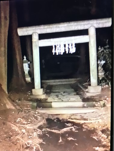 桜木神社の写真