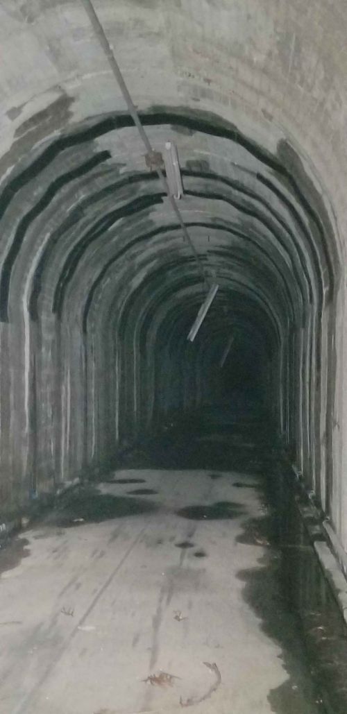 旧無患子トンネルの写真