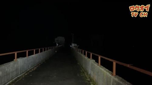 宇賀ダムの写真
