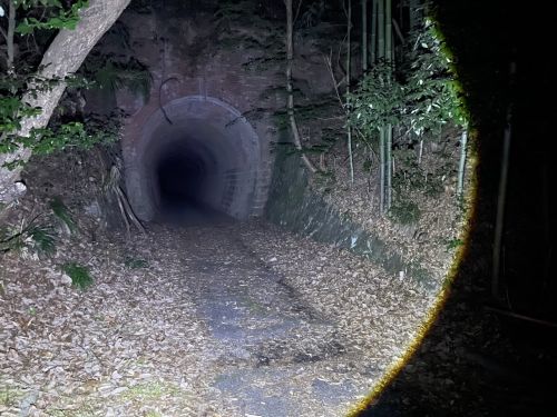 旧尾道トンネル(旧尾道鉄道4号トンネル)の写真