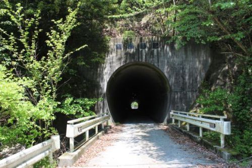 中川隧道の写真