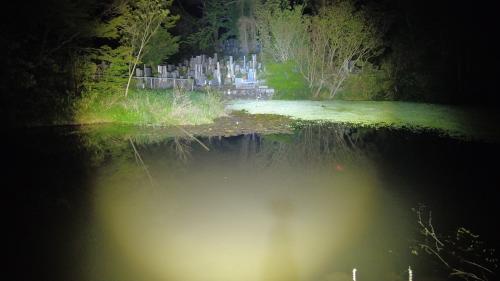 墓池の写真