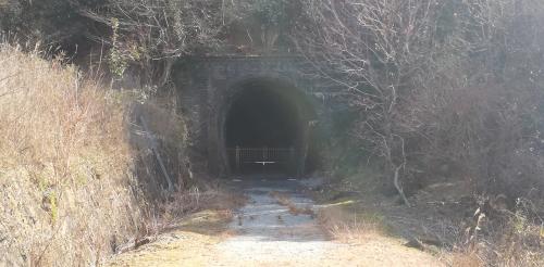 旧総谷トンネルの写真