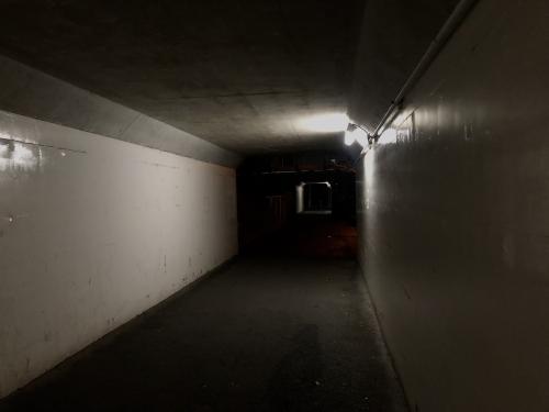 枚方大橋南の自転車道トンネルの写真