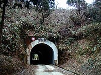 【石川県】牛首トンネルの画像